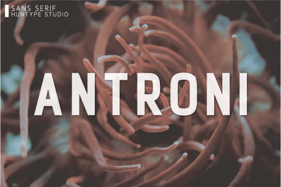 Antroni: A Bold Sans Serif for Editorial Design
