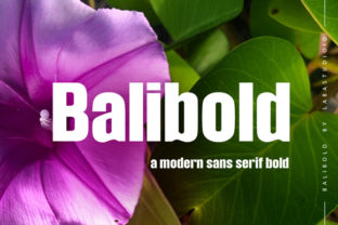 Balibold Font for Bold Editorial Design
