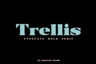 Trellis: A Bold Serif Font for Business Branding